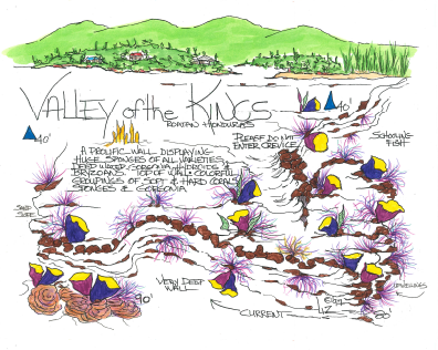 Valley of the Kings dive site map, hand drawn by Liz Wayne, showing Roatan's green hills in the background, and coral formations with descriptions of the dive site in the foreground